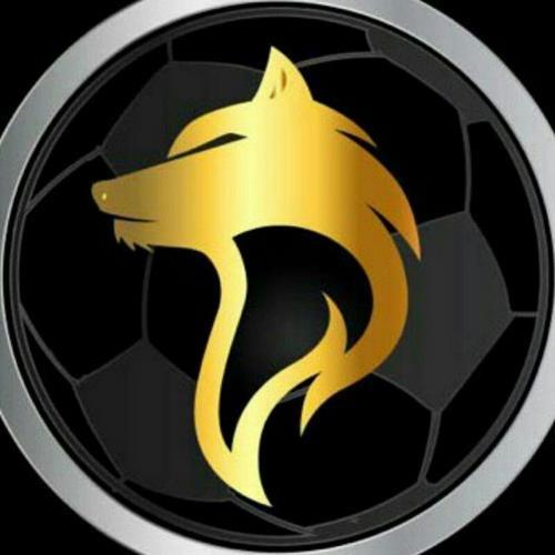 آموزش بازی انفجار در سایت ولف بت