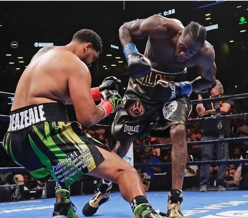 مبارزه دیانتلی وایلدر و فیوری