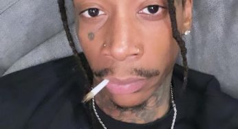 موزیک ویدیو ویز خلیفا + شناخت بیشتر بازی Wiz Khalifa Weed Farm