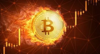 قیمت هر ساتوشی چند تومان است؟ قیمت هر ساتوشی امروز