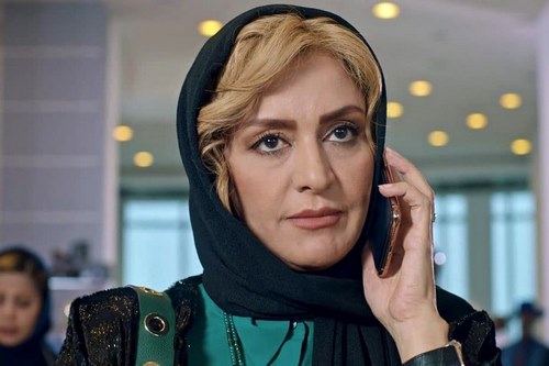 درآمد مریلا زارعی چقدر است؟