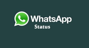 لینک ورود به گروه شرط بندی واتس آپ + بررسی خدمات این گروه vip