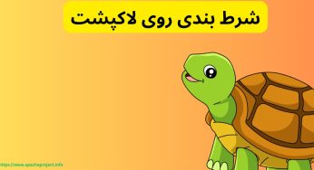 شرط بندی روی لاک پشت یک تفریح جذاب و سودآور