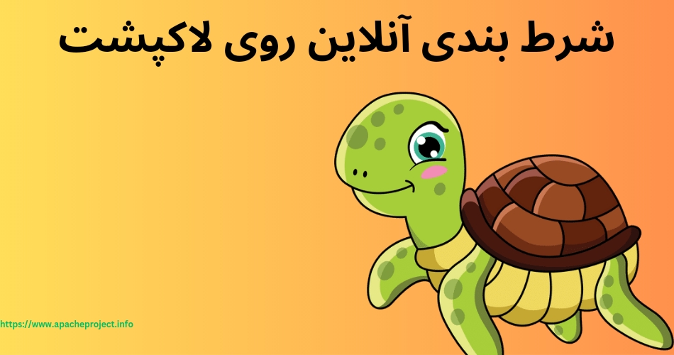 شرط بندی آنلاین روی لاکپشت