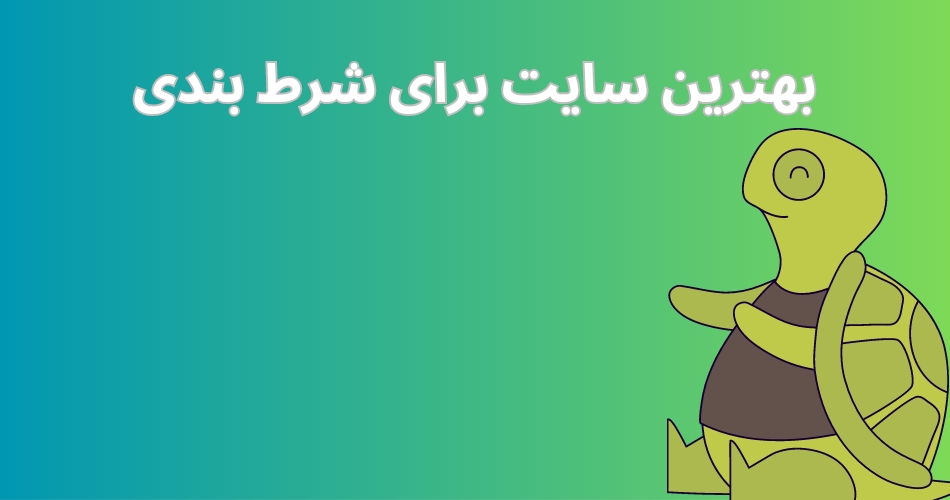 بهترین سایت برای شرط بندی روی لاکپشت