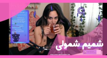 بیوگرافی شمیم شمولی ❤️ بررسی روابط و رازهای شخصی او