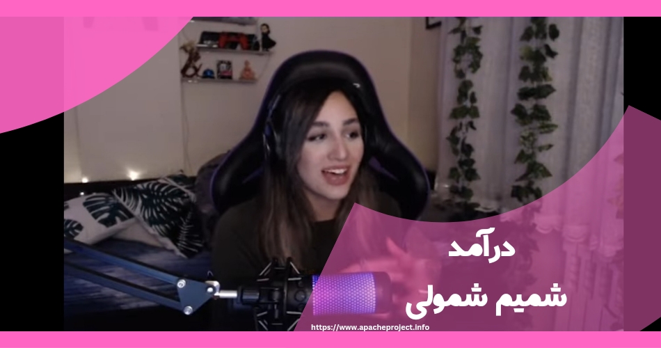 درآمد این یوتیوبر چقدر است؟ 