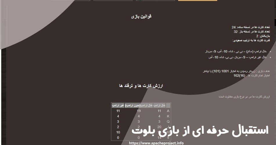 آیا کاربران حرفه ای از این بازی استقبال می کنند