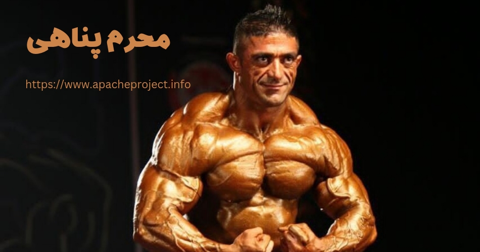 محرم پناهی