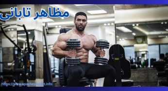 بیوگرافی مظاهر تابانی + فیگورها و برنامه غذایی او